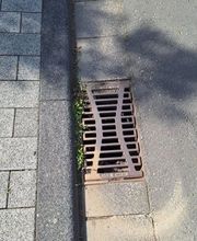 Sinkkastenreinigung Klodkowski Bild 3