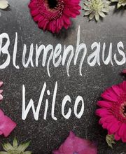 Blumenhaus Wilco Bild 9