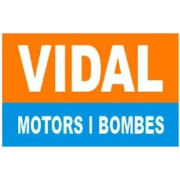 vidalmotor.JPG