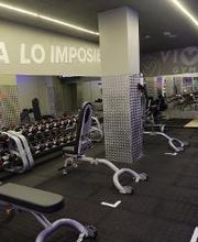 Gimnasio VivaGym Cartagena centro imagen 13