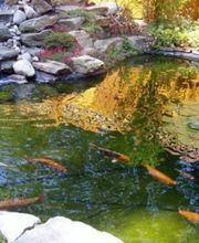 Enzo Girardino | Gartengestaltung | München | Oberhaching