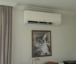 LG S24.jpg