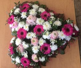 Blumen Heid Bild 2