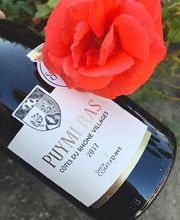 Cave La Comtadine image 6