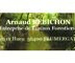REBICHON ARNAUD image 3