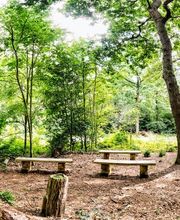 FriedWald Cuxland Bild 10
