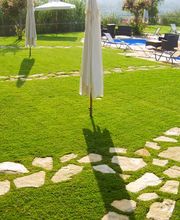 Martin Marius Bild 5