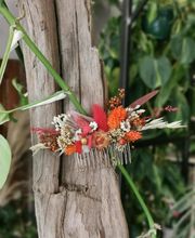 Floranthea SARL image 10