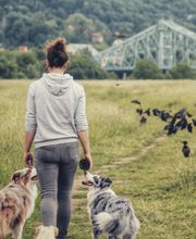 Pawlane - Dogwalk Bild 1