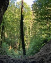 Guérisseur, Magnétiseur, Médium, Voyance, Jean-Claude Sellie, Energie Subtile Bild 5