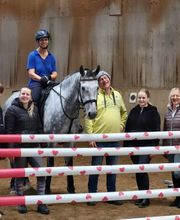 Pferdepension Almhof Thann Bild 3