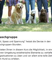 Sundogs Hundeschule Bild 1