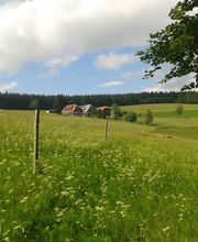 Ferienparadies Althäuslehof Bild 13
