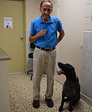 Town & Country Veterinary Clinic image 13