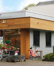 Marum (Gr.) Welkoop NF