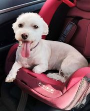 Y yo con estos pelos imagen 10