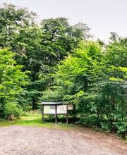 FriedWald Lauterbach Bild 10