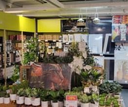 Conforama Solothurn