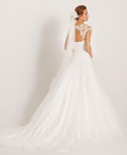 Alliance Elixir image 2