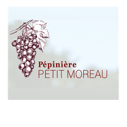 Petit-Moreau