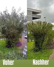 Traumplatz Garten- Gebäudemanagement Bild 5