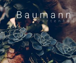 Baumann Gartenbau AG Bild 3
