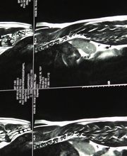 Tierklinik Obergrund AG Bild 8