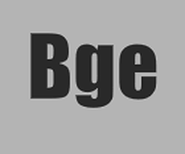 Bge image 4