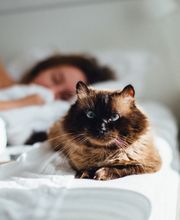 Pharmacie du Chalaure image 2