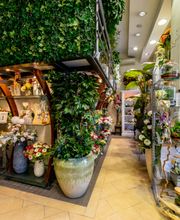 Gallery Professionale