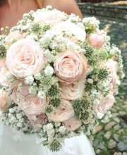 Bluemelade bim Schloss GmbH Bild 8