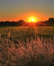 Bill Head Funeral Homes & Crematory/ Lilburn Tucker Chapel image 13