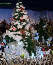 Jardinerie Villaverde image 17