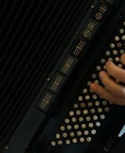 Musikschule Herrmann Bild 4