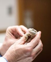 Three Trails Animal Hospital image 5