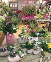 Caron Fleurs image 1