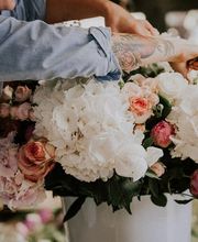 Rieder Fleurs Bild 1