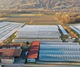 Azienda Agricola CATIBIO di Caritas Ticino Bild 1