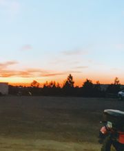 Black Hills Vista Park Campground image 2