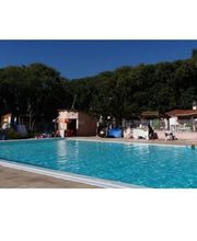 Les Micocouliers image 6