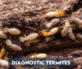 Activ'Expertise Ploermel image 16