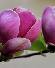 lebensfreudig.ch Bild 4