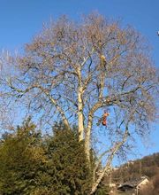 Borlat Paysages Bild 2