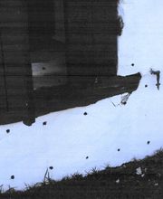 Destenave Michel image 11