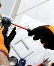 Wild Electric AG Bild 2