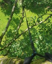 Jardins Arborés image 2