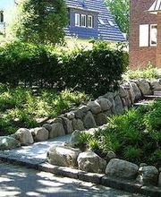 Gartengestaltung Baümfällen Elbvororte Hamburg