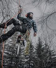 Aspen Tree Service - SavATree image 14