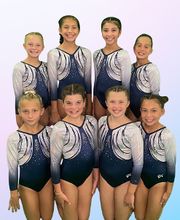 New Heights Gymnastics Academy image 1