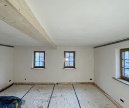 Lehmedelputz